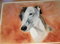 /album/galerie-photos/photo-142-jpg/